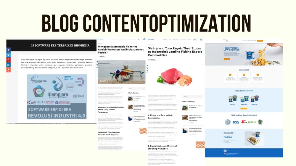 Blog Content Optimization